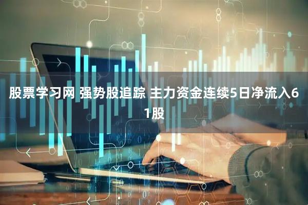股票学习网 强势股追踪 主力资金连续5日净流入61股