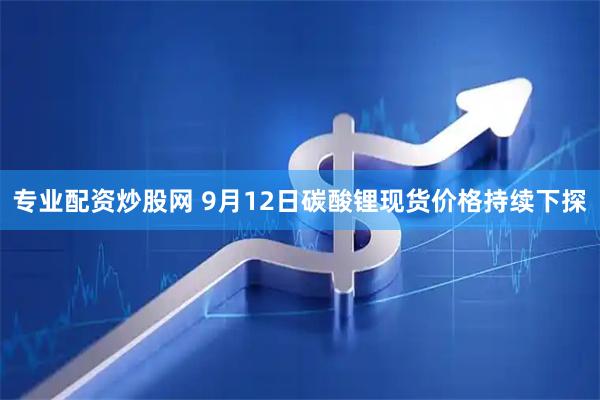 专业配资炒股网 9月12日碳酸锂现货价格持续下探