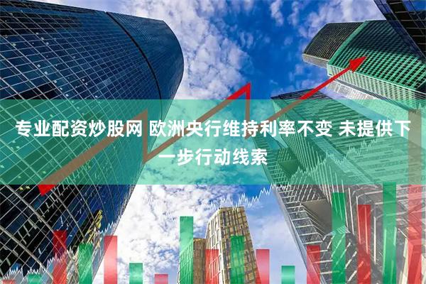 专业配资炒股网 欧洲央行维持利率不变 未提供下一步行动线索