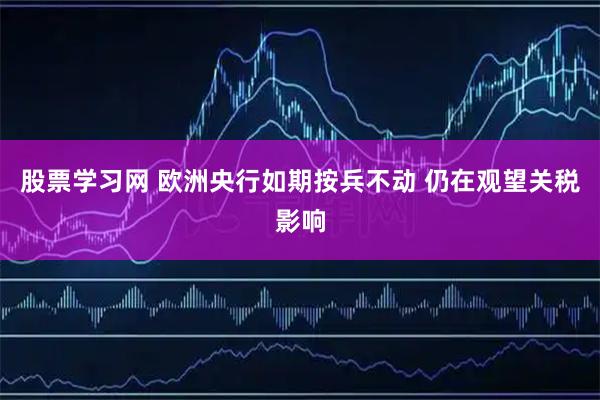 股票学习网 欧洲央行如期按兵不动 仍在观望关税影响