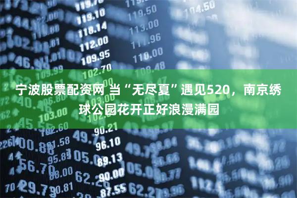 宁波股票配资网 当“无尽夏”遇见520，南京绣球公园花开正好浪漫满园