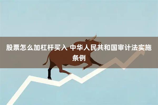 股票怎么加杠杆买入 中华人民共和国审计法实施条例