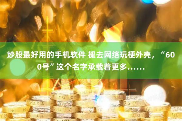 炒股最好用的手机软件 褪去网络玩梗外壳，“600号”这个名字承载着更多……
